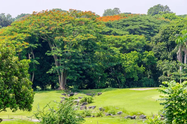 Golf club na Filipíny — Stock fotografie