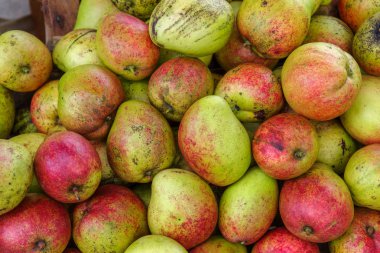 Tropikal meyve elma mango, Filipinler