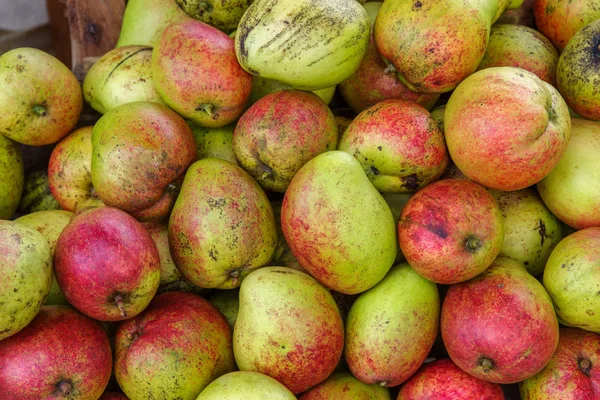 Tropikal meyve elma mango, Filipinler