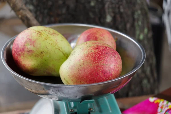 Mango de frutas tropicales, Filipinas — Foto de Stock