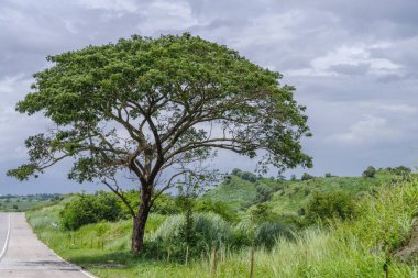 Bulutlu kırsal yol Filipinler