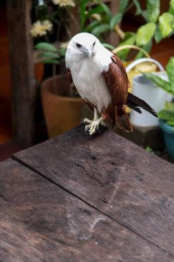 Kartal kadar kapatın