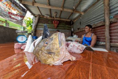 Eyl 20, Basco, Batanes Mart'ta 2017 balık