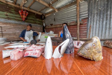 Eyl 20, Basco, Batanes Mart'ta 2017 balık