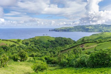 Naidi Hills, Ivatan Adası, Filipinler güzel manzara