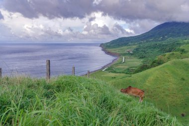 Vayang Hills, Ivatan Adası, Batanes haddeleme görünümünden