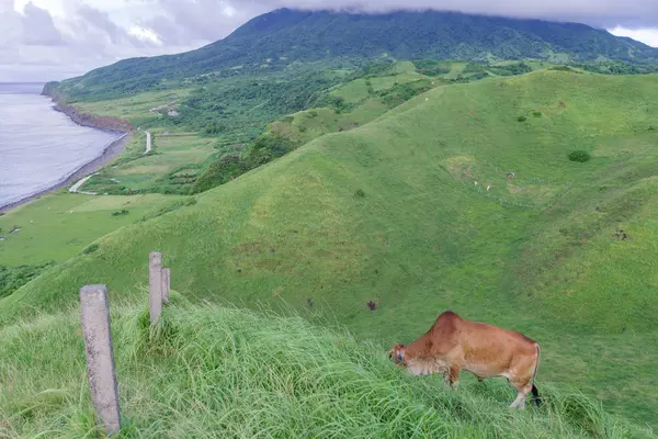 Vayang Hills, Ivatan Adası, Batanes haddeleme görünümünden