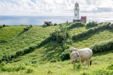 Mahatao Hill, Batan Adası, Batanes deniz feneri