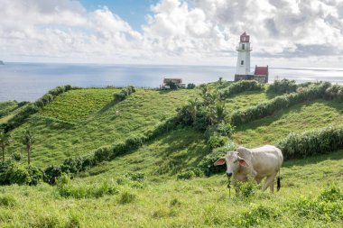 Mahatao Hill, Batan Adası, Batanes deniz feneri