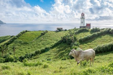 Mahatao Hill, Batan Adası, Batanes deniz feneri