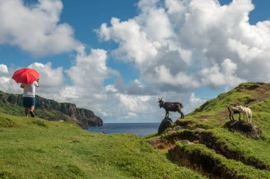 Keçi Batan Adası, Batanes tepede