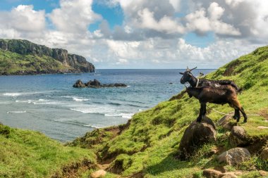 Keçi Batan Adası, Batanes tepede