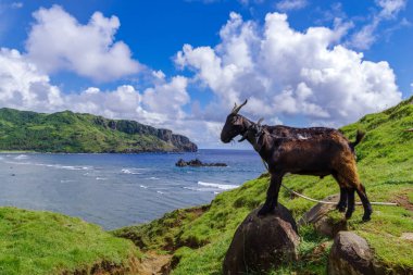 Imnajbu eski deniz temel Alapad, Batan Adası, Batanes