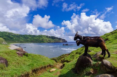 Imnajbu eski deniz temel Alapad, Batan Adası, Batanes