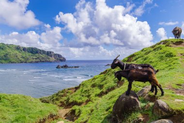 Imnajbu eski deniz temel Alapad, Batan Adası, Batanes