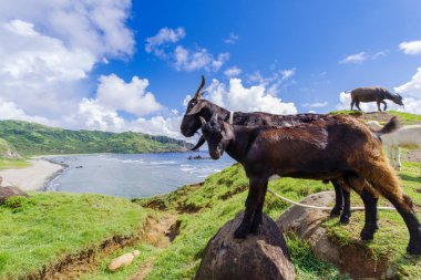 Imnajbu eski deniz temel Alapad, Batan Adası, Batanes
