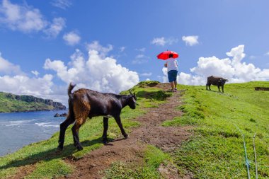 Imnajbu eski deniz temel Alapad, Batan Adası, Batanes