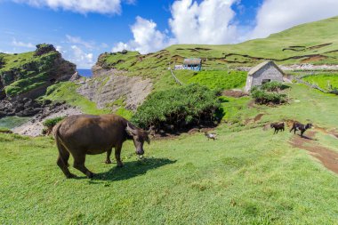 Imnajbu eski deniz temel Alapad, Batan Adası, Batanes