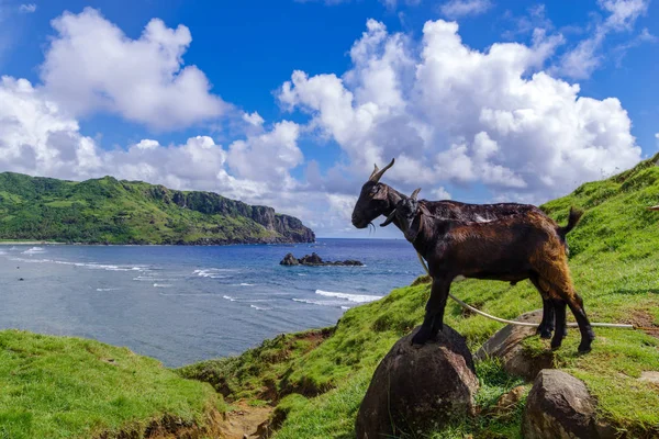 Imnajbu eski deniz temel Alapad, Batan Adası, Batanes