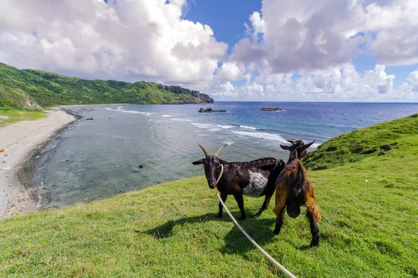 Imnajbu eski deniz temel Alapad, Batan Adası, Batanes