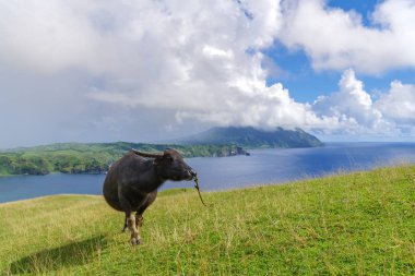Marlboro Hills Batan Adası, Batanes