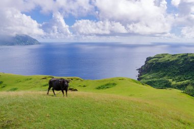 Marlboro Hills Batan Adası, Batanes