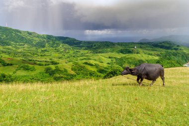 Marlboro Hills Batan Adası, Batanes