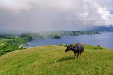 Marlboro Hills Batan Adası, Batanes
