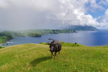 Marlboro Hills Batan Adası, Batanes