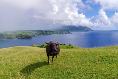 Marlboro Hills Batan Adası, Batanes