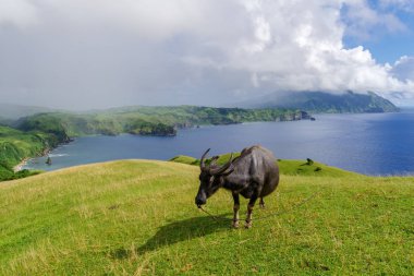 Marlboro Hills Batan Adası, Batanes