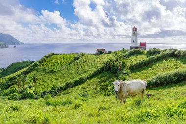  Mahatao Hill, Batan Adası, Batanes