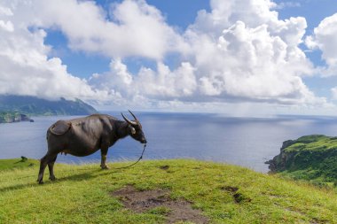 Marlboro Hills Batan Adası, Batanes