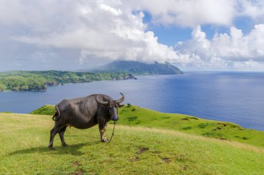 Marlboro Hills Batan Adası, Batanes
