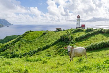  Mahatao Hill, Batan Adası, Batanes