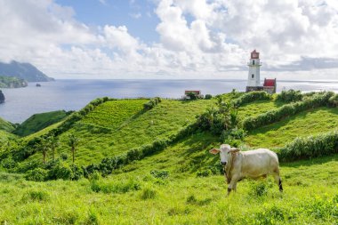  Mahatao Hill, Batan Adası, Batanes