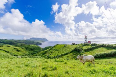  Mahatao Hill, Batan Adası, Batanes