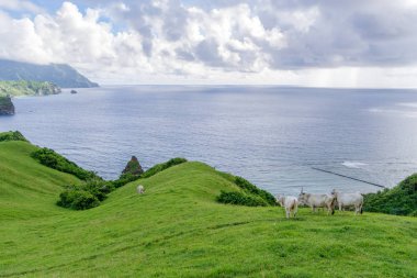  Mahatao Hill, Batan Adası, Batanes