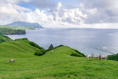 Deniz feneri Mahatao Hill Batan Adası, Batanes