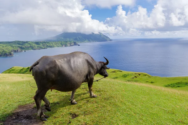 Marlboro Hills Batan Adası, Batanes