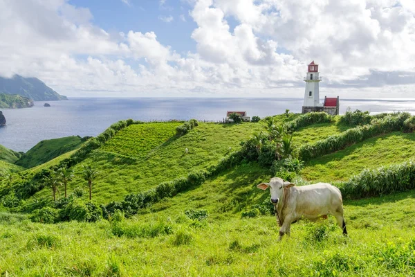  Mahatao Hill, Batan Adası, Batanes