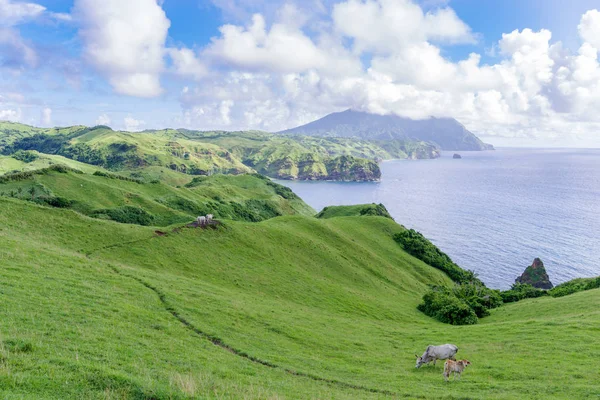  Mahatao Hill, Batan Adası, Batanes