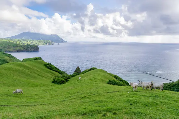Deniz feneri Mahatao Hill Batan Adası, Batanes