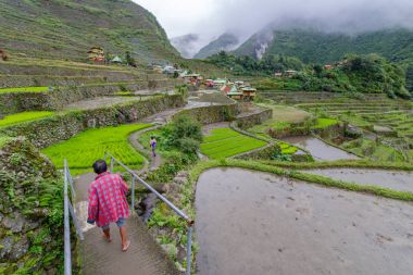 insanlar Batad Banaue Pirinç Teras