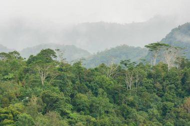 Banaue güzel manzara 