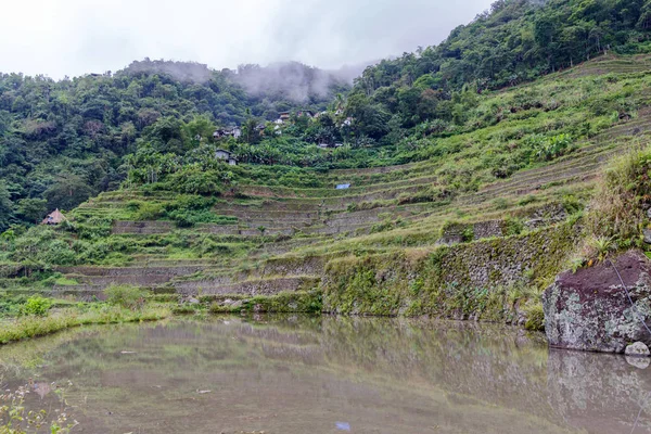 Beautiful landscape  Batad rice terrace  in Banaue, — Stock Photo, Image