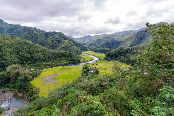 Schöner Fluss und Reisfeld in Banaue — Stockfoto