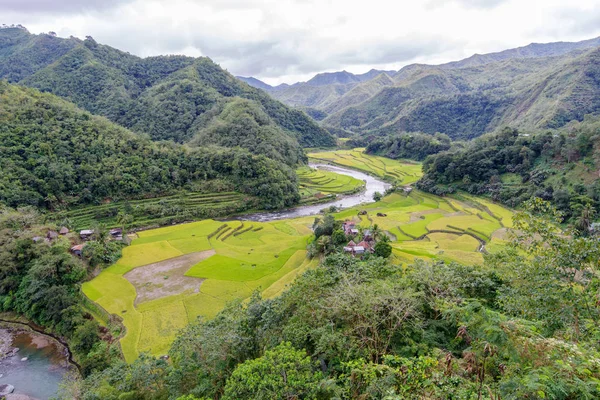 Prachtige rivier en rijst veld in Banaue — Stockfoto