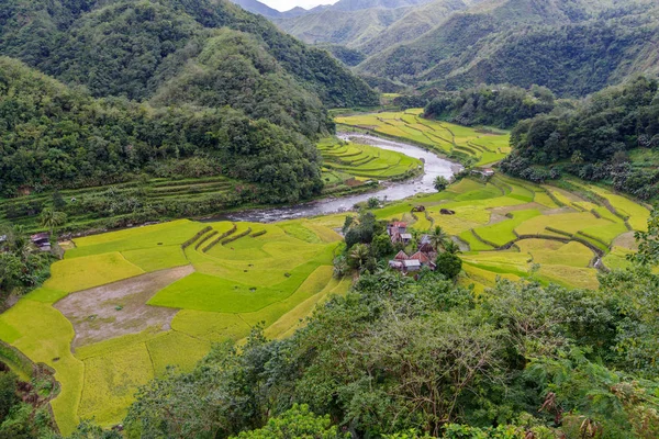 Belo rio e campo de arroz em Banaue — Fotografia de Stock