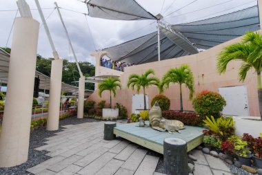 27 Ocak 2018 turistler deniz aslanı Okyanus Macera, Subic, iyi eğlenceler